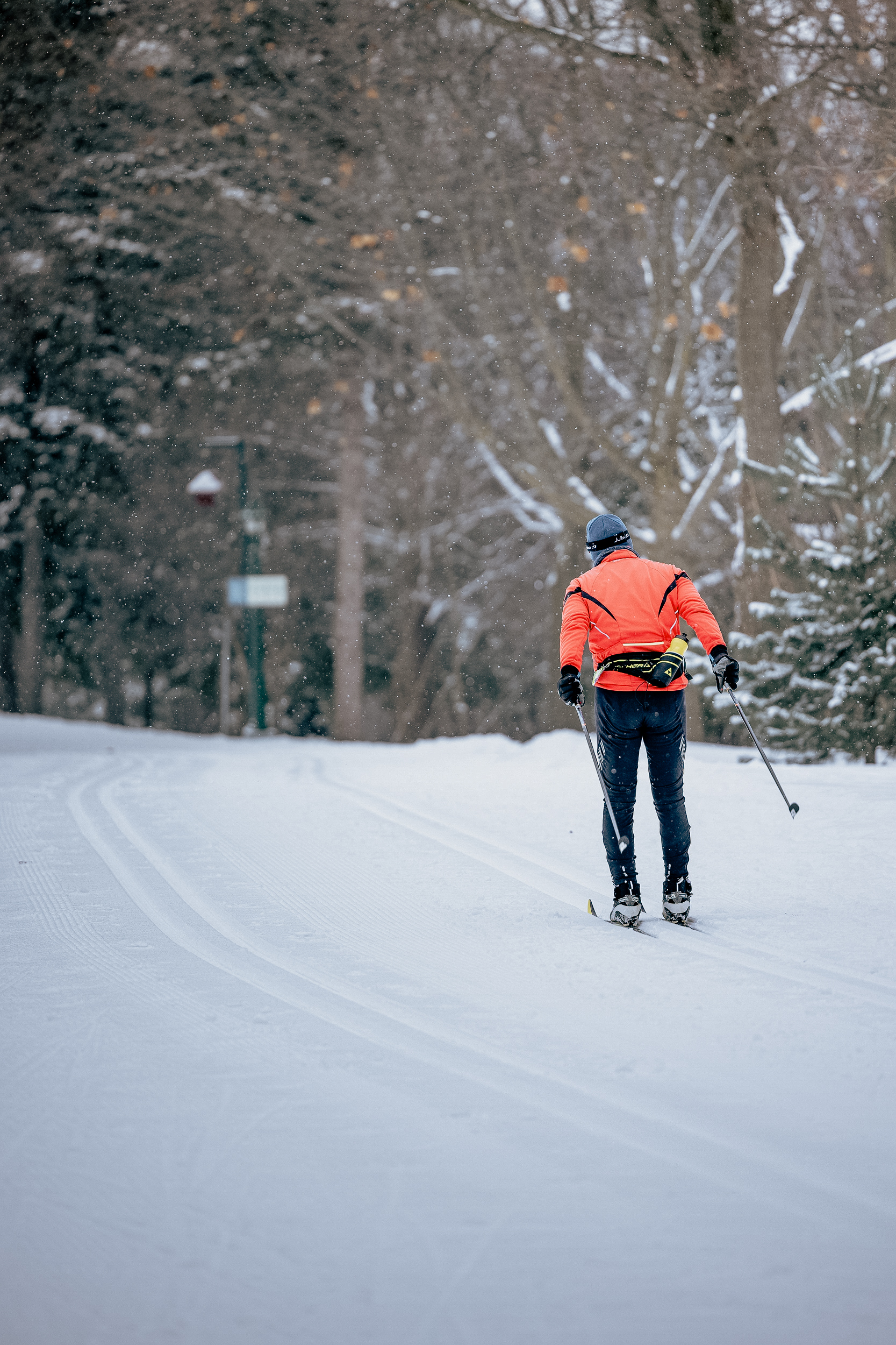 Photo d'un skieur de dos portant un manteau rouge et des pantalons noir sillonnant la piste de ski de fond en milieu boisé des plaines d'Abraham. // Photo of a skier from behind, wearing a red coat and black pants, skiing on the cross-country ski trail in the wooded area of the Plains of Abraham.