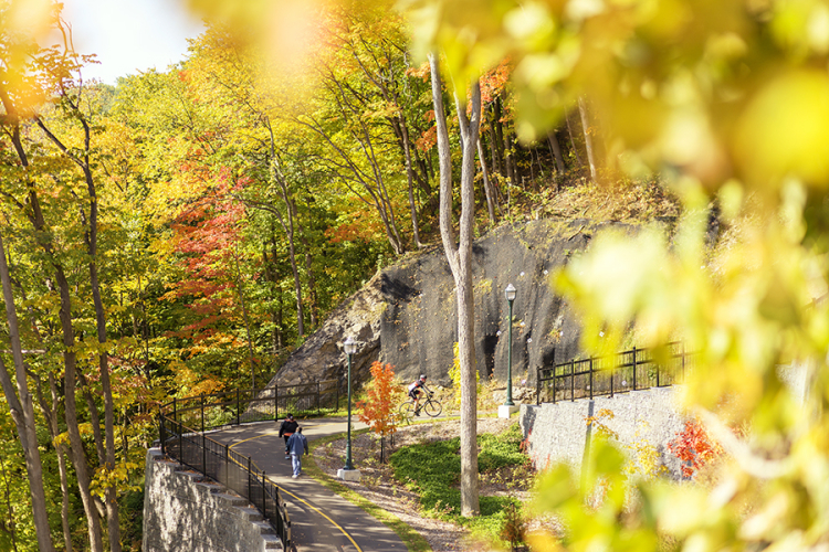 Des piétons et un cycliste dans un sentier lors d'une journée d'automne ensoleillée