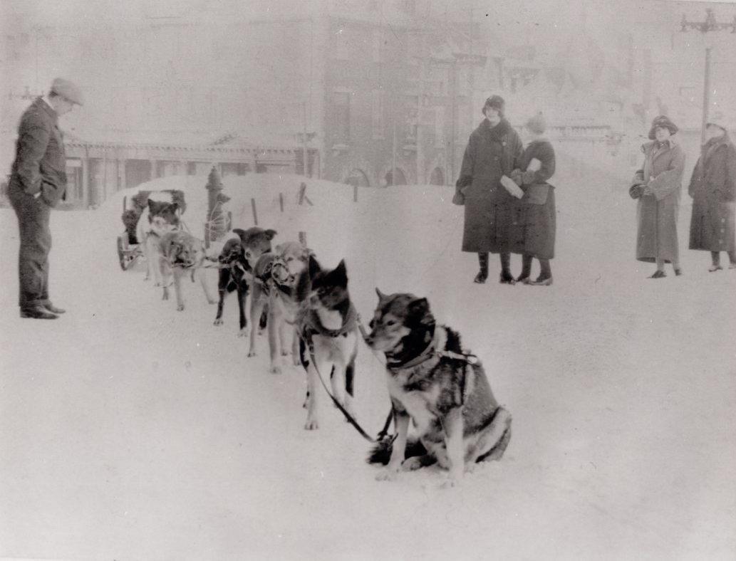 Photo d'archive en noir et blanc de chiens de traîneaux en hiver sur les Plaines entourés d'hommes et de femmes les regardant. Black-and-white archival photo of sled dogs in winter on the Plains, surrounded by men and women observing them.