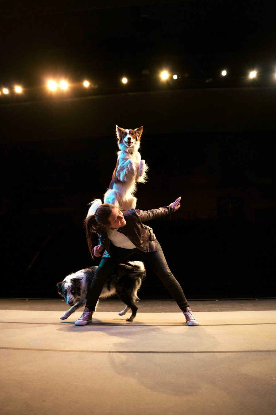 Alexandra Côté et son spectacle d'habiletés canines