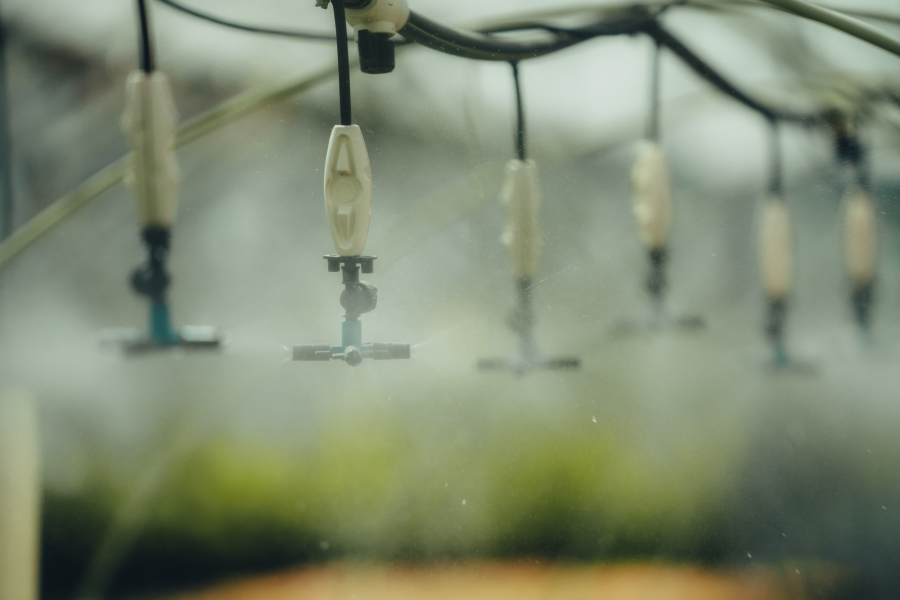 Plan rapproché du système d'arrosage automatique de la serre des plaines d'Abraham. 
Close-up of the automatic watering system in the Plains of Abraham greenhouse.