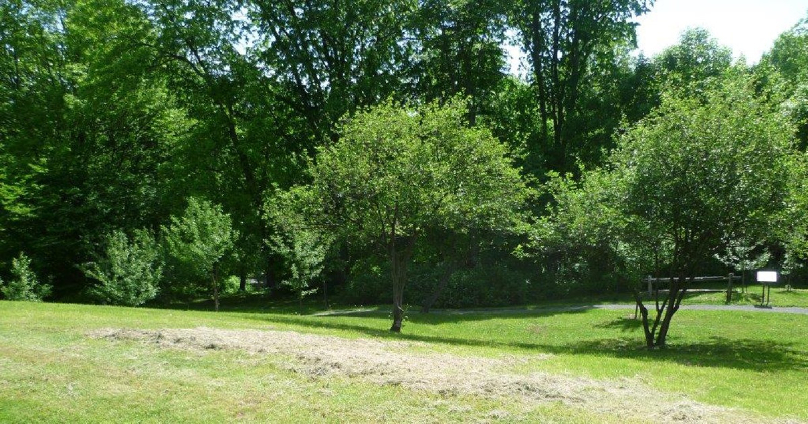 Louis-Hébert Orchard at Battlefields Park, surrounded by greenery, honoring the first farmer of New France. Verger Louis-Hébert au parc des Champs-de-Bataille, entouré de verdure, en hommage au premier agriculteur de la Nouvelle-France.