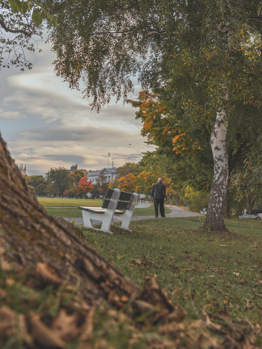 Close-up of a tree, with a park bench and a person walking on a track in the background.
Gros plan d'un arbre, avec un banc de parc et une personne marchant sur une piste en arrière-plan.