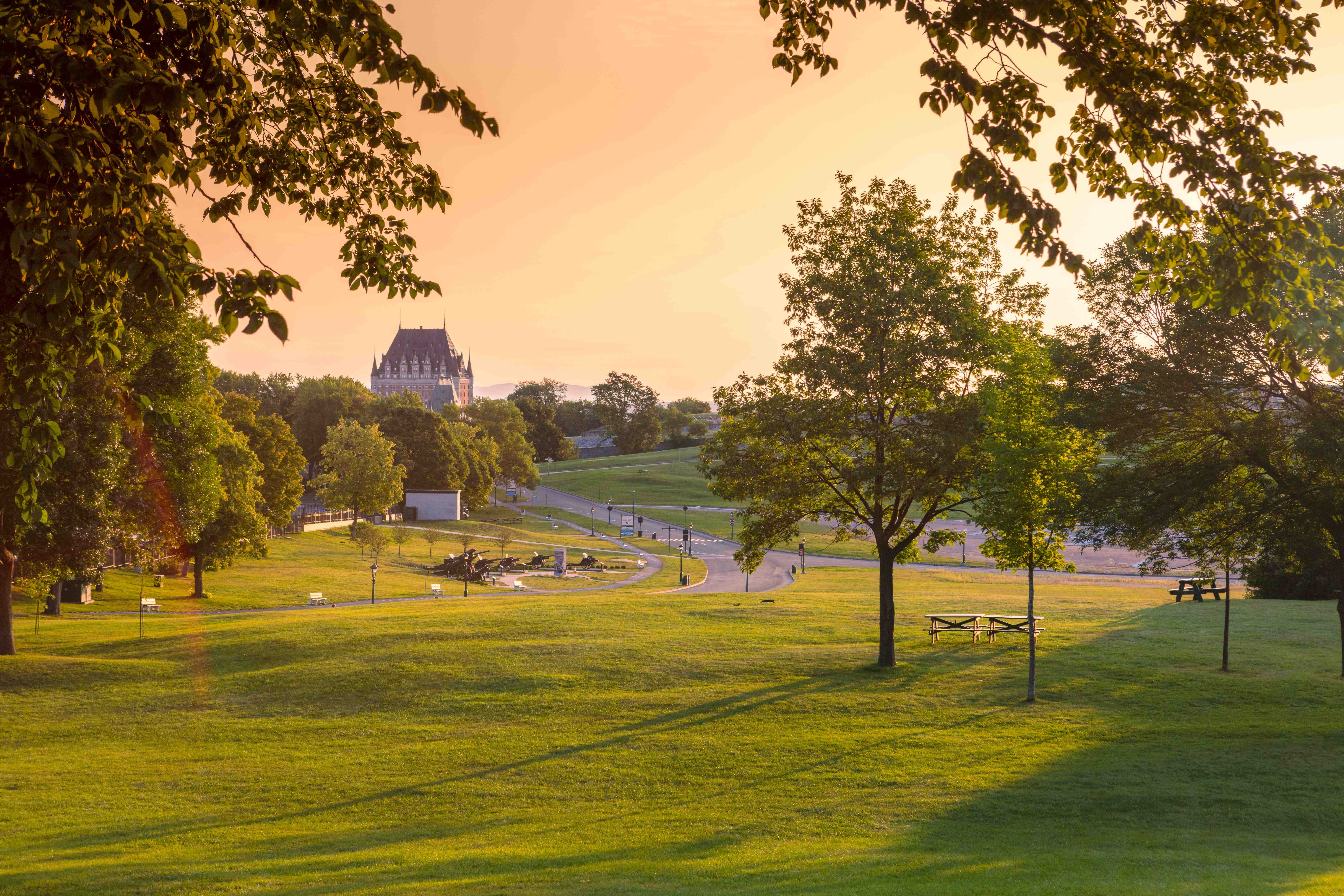 Photo des plaines d'Abraham en été, végétation abondante et vue partielle du Château Frontenac au loin. Photo of the Plains of Abraham in summer, featuring lush vegetation and a partial view of the Château Frontenac in the distance.