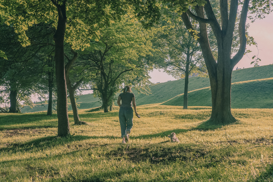 A woman walks on the Plains of Abraham with her dog