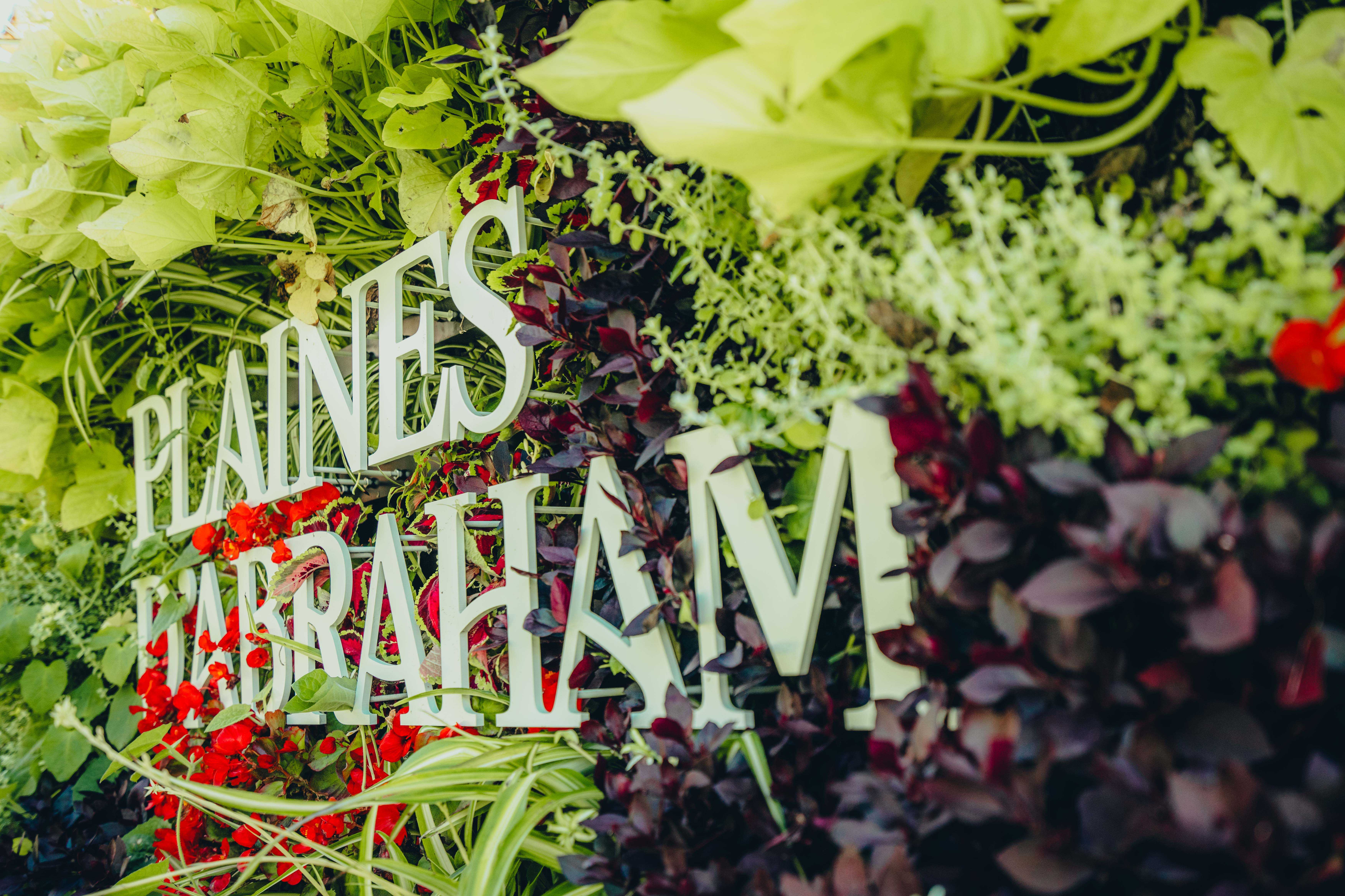 Gros plan sur le logo des plaines d'Abraham disposé sur le mur végétal.Close-up of the Plains of Abraham logo arranged on the living wall.