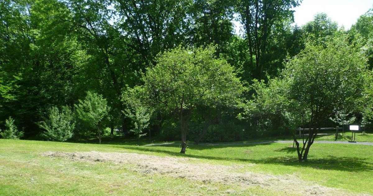 Verger Louis-Hébert au Parc des Champs-de-Bataille, entouré de verdure, hommage au premier agriculteur de Nouvelle-France.