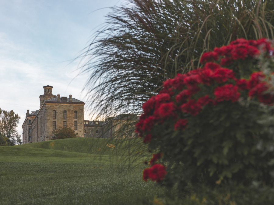 Végétation verte et magenta en premier plan et bâtiment d'une ancienne prison derrière. Green and magenta vegetation in the foreground, with the building of an old prison in the background.