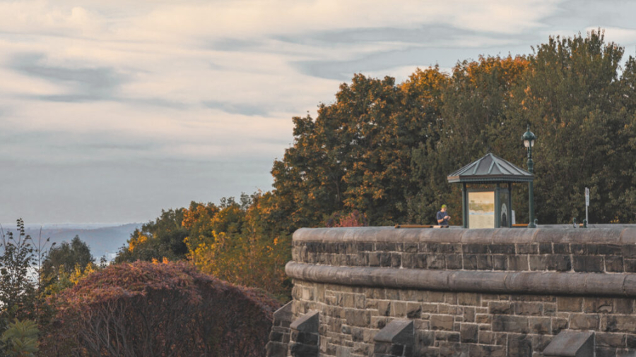 Vue de la terrasse Grey en automne. On aperçoit à gauche de l'image le fleuve Saint-Laurent. // View of Grey Terrace in autumn. The St. Lawrence River can be seen on the left side of the image.